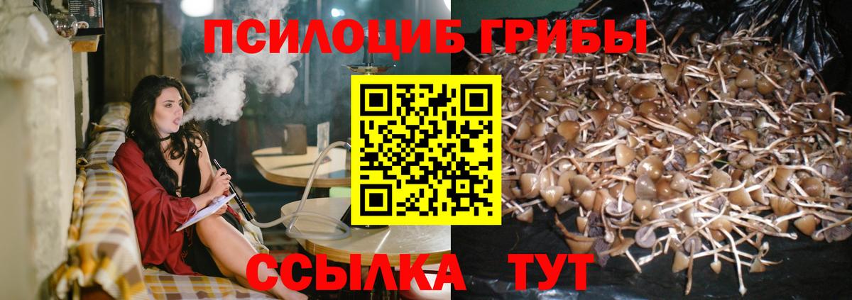 Трёхгорный  Галлюциногенные грибы прущие грибы  Вход с VPN 